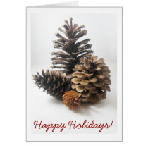 Pinecones Holiday Greeting Card cards