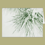 Pinefrost cards