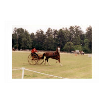 PINEHURST STYLE PRINT by COREY__FORD PINEHURST STYLE PRINT