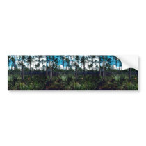 Pinelands Bumper Sticker