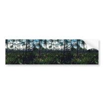 Pinelands Bumper Stickers