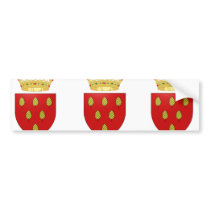 Pinelli, Italy bumper stickers by bestflag Pinelli, Italy bumper stickers