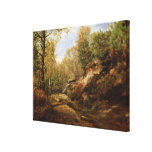 Pines & Birch Trees or The Forest of Canvas Print