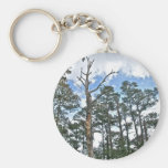 Pines on Beach Nature Trail OBX NC Key Chain