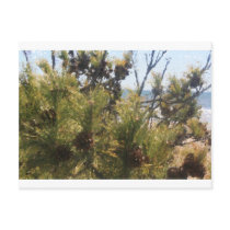 piney beach, NJ postcards by ArtKeptSimple piney beach, NJ postcards