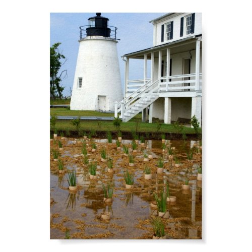 Piney Point Lighthouse print