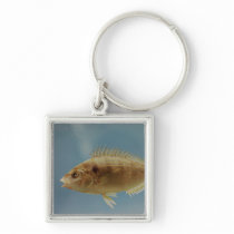 Pinfish Key Chains