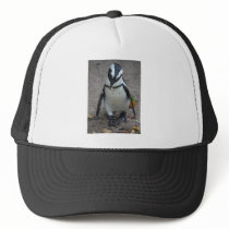Pinguin Trucker Hats