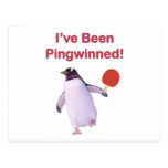 Pingwinned Penguin Ping Pong Post Card