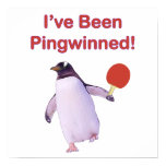 Pingwinned Penguin Ping Pong Posters