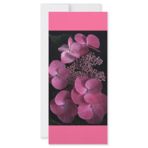pink1 full color rack card