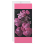 pink1 full color rack card