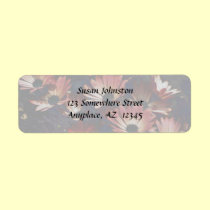 Pink African Daisies Flower Address Label labels