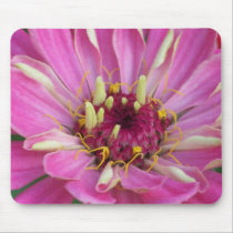 pink African Daisy mousepads