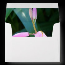Pink Against Green envelopes
