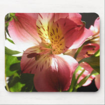 Pink Alstroemeria Flower Lilies Flowers Photo mousepads