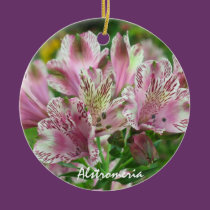 Pink Alstromeria Christmas Ornament ornaments