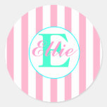 Pink and Aqua Sticker