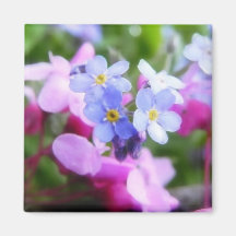 Pink And Blue Spring Flowers Magnets
