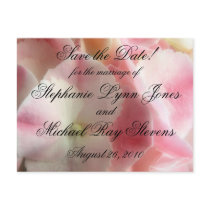Pink and Cream Hydrangea postcards by SweetRascal Pink and Cream Hydrangea postcards