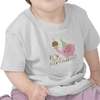 Pink and Green Elephant Birthday T Shirt