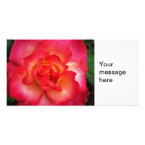 Pink and orange rose personalized photo card