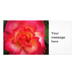 Pink and orange rose personalized photo card