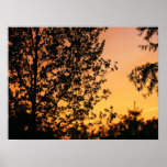 Pink and Orange Sunset posters