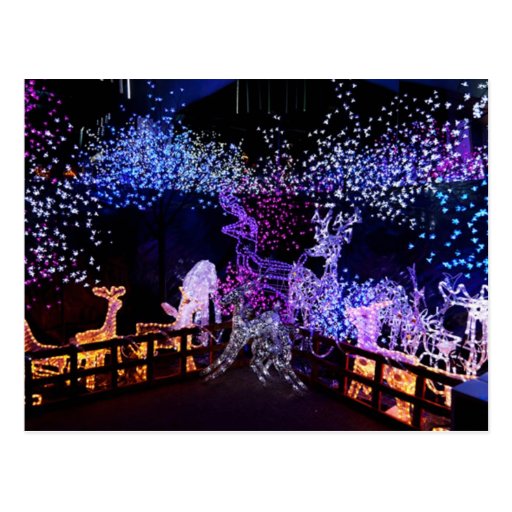 pink christmas decorations outdoor photograph pink and pur pink christmas decorations outdoor photograph pink and pur