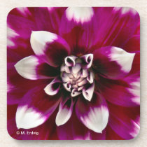 Pink and Purple Flower Cork Coaster cork coasters