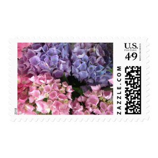 Pink And Purple Hydrangea Flowers Stamp