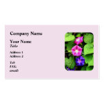 Pink and Purple Morning Glories Business Card