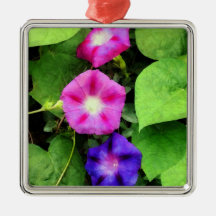 Pink and Purple Morning Glories Christmas Ornament