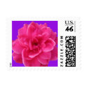 Pink and Purple Small postage by iiiyaaa Pink and Purple Small postage