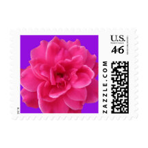 Pink and Purple Small Postage