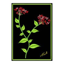 Pink and Red Flowers posters