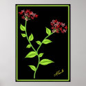 Pink and Red Flowers posters