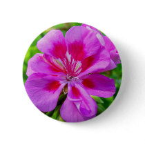 Pink and Red Pansy buttons