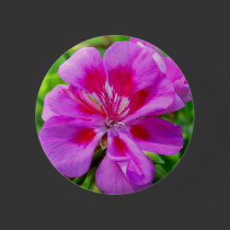 Pink and Red Pansy buttons