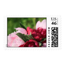 Pink And Red Peonies Wedding  Flower Stamps