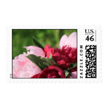 Pink And Red Peonies Wedding  Flower Stamps