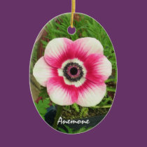 Pink and White Anemone Christmas Ornament ornaments