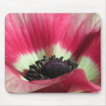 mousepad, anemone, pink flower, white, pink and