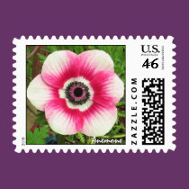 Pink and White Anemone Stamp stamps