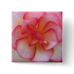 begonia, button, begonias, pinback, floral, pink,
