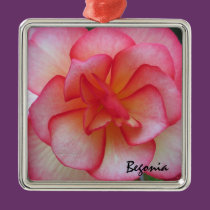 Pink and White Begonia Christmas Ornament ornaments