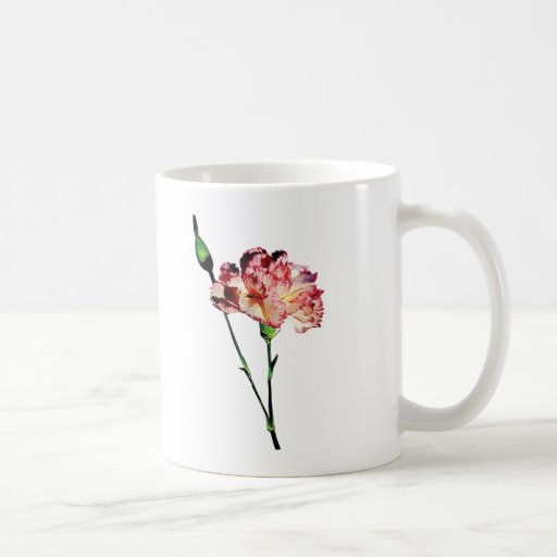 Pink and White Carnation with Bud Mug