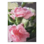Pink and White Carnations 1 Greeting Card