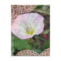 Pink and White Field BindWeed postcards