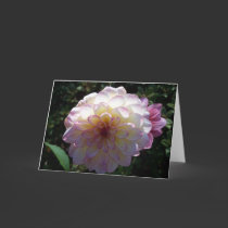 Pink and White Flower greeting card by dduhaime55 Pink and White Flower greeting card